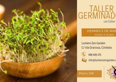 Taller de germinados