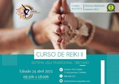Taller de Reiki II: 24 de abril 2021