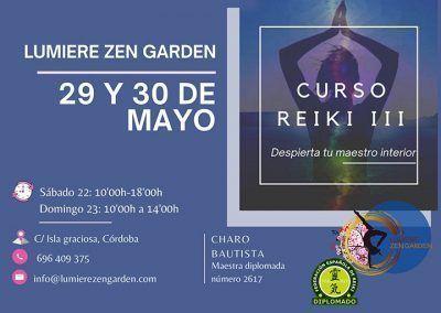 Taller de Reiki III: 29 y 30 de mayo