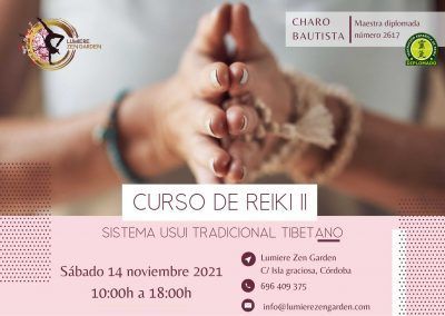 Taller de Reiki II: 14 de noviembre 2021