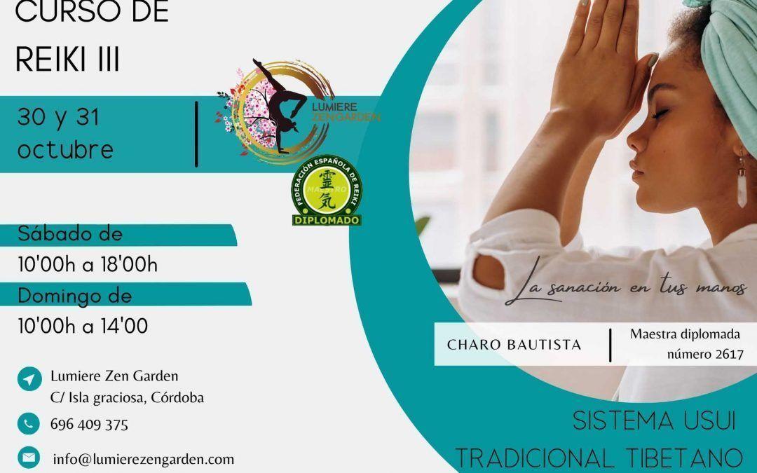 Taller de Reiki Nivel III: 30 y 31 de octubre