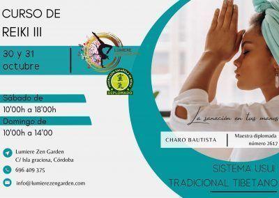 Taller de Reiki Nivel III: 30 y 31 de octubre