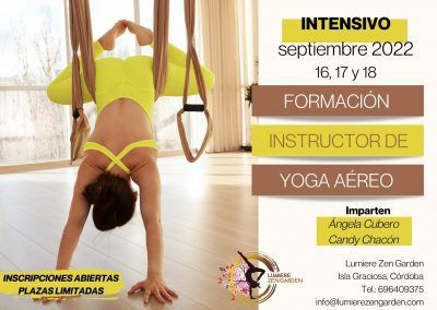 Formación en Instructor de Yoga Aéreo: septiembre 2022