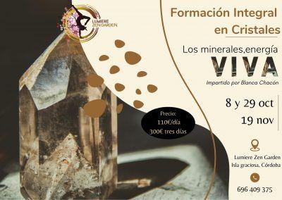 Formación integral en Cristales: oct-nov 2022