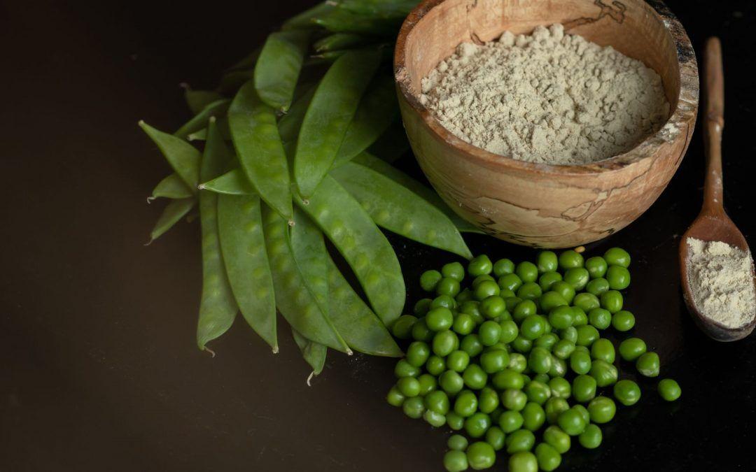Propiedades de la proteína del guisante