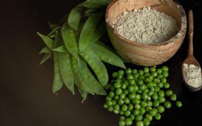 Propiedades de la proteína del guisante