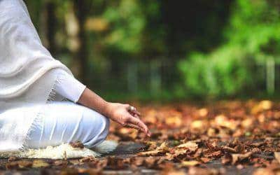 Los retiros de Yoga y Meditación