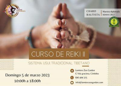 Taller de Reiki Nivel II: 5 de marzo de 2023