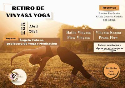Retiro de Vinyasa Yoga: 2024
